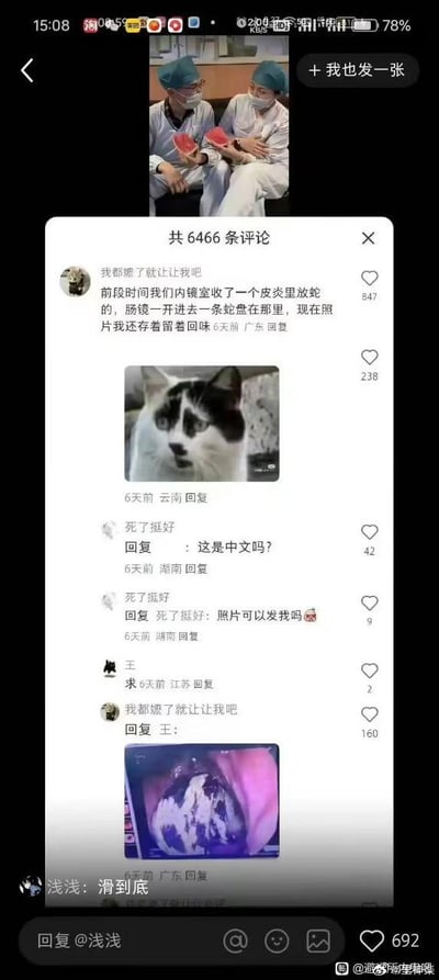 这是一张竖屏的社交媒体评论区截图，顶部展示了两位身着手术服、头戴手术帽和口罩的医护人员手持西瓜块的照片，下方是该内容的评论互动区。评论区中，用户「我都嬷了就让让我吧」分享了自己所在内镜室遇到的离谱病例：收治了一位在体内放蛇的患者，肠镜探查时能看到蛇盘在肠道内，还附上了内镜拍摄的真实画面截图；其他网友看到后纷纷表示震惊，有网友询问病例照片，还有网友发出求图的请求，整个评论区围绕这一猎奇的医疗事件展开互动，充满了荒诞感。