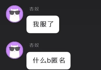 这是一张单张静态的聊天记录截图，画面背景为深色，展示了名为“杏奴”的用户的两条消息。该用户的头像是一只戴着黑色墨镜的白色卡通猫咪，头像背景为紫色。用户先后发送了“我服了”和“什么b匿名”两条消息，其中第二条消息使用了口语化的粗俗表述，强烈地传递出用户对与“匿名”相关的人或事的不满、无奈与烦躁情绪，是用户在宣泄自身负面情绪的体现。