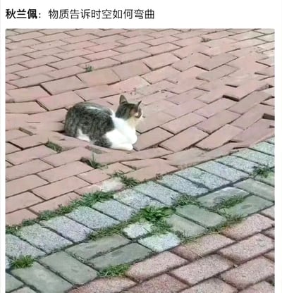 这是一张利用视觉错位打造趣味效果的实拍图片。画面中一只灰白相间的猫咪趴在一处因地面沉降而呈现凹陷状态的红砖地砖区域，地砖的凹陷形态和猫咪的位置结合，制造出“猫咪的重量压弯了时空”的视觉错觉。图片顶部配文“秋兰佩：物质告诉时空如何弯曲”，这句话是爱因斯坦广义相对论的通俗表述，用这个物理理论来调侃画面的视觉效果，将严肃的物理知识和搞笑的视觉错觉结合，形成幽默的趣味科普效果。