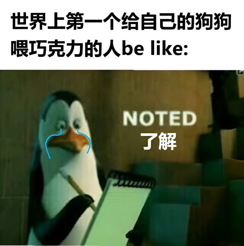 Skipper