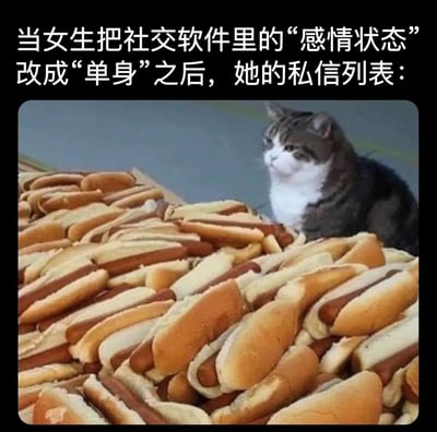 图片上方配有文字“当女生把社交软件里的‘感情状态’改成‘单身’之后，她的私信列表：”，下方是一只灰白相间的猫平静地坐在堆积如山的热狗旁。通过将大量热狗比作私信数量，幽默夸张地表现出女生更改感情状态为“单身”后，私信数量激增的场景。