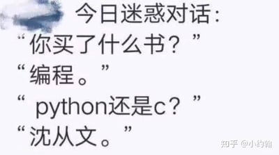 这是一张纯文字的图文混排静态图，顶部标题为“今日迷惑对话”，下方呈现一段利用谐音制造笑点的对话：提问者询问对方买了什么书，对方回答“编程”，提问者误以为是计算机编程相关书籍，进一步追问是Python还是C语言，结果对方给出“沈从文”的答案，利用“编程”与“编选沈从文的文章（文集）”的谐音关联，制造出认知错位的迷惑感，从而产生幽默效果，属于典型的谐音类迷惑段子。