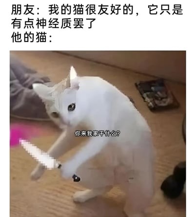 图片上方文字为“朋友：我的猫很友好的，它只是有点神经质罢了 他的猫：”，下方是一只白色猫咪站立在木地板上，前爪握着一把像素化处理的刀，眼神警惕，猫下方配有文字“你来我家干什么？”。通过朋友对猫咪“友好但神经质”的描述与猫咪实际持“武器”质问的画面形成强烈反差，制造幽默效果。