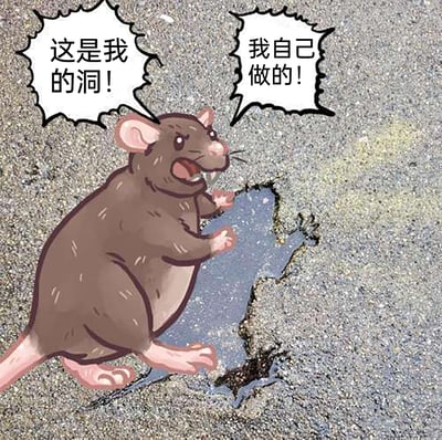 这是一张照片改图的搞笑梗图，创作者将手绘的棕色卡通老鼠合成在带有自然裂缝的真实地面照片上。老鼠表情激动，张嘴喊话，双手扒着地面的裂缝，两个白色对白气泡分别标注着“这是我的洞！”和“我自己做的！”，通过让老鼠将原本自然形成的地面裂缝强行认作是自己挖掘的洞，制造出荒诞无厘头的反差感，既可以单纯用来博人一笑，也暗含调侃那种强行认领不属于自身成果的行为的意味。