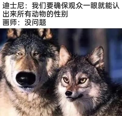 这是一张荒诞搞笑的网络梗图，上方配文呈现了一段对话：迪士尼提出创作要求“我们要确保观众一眼就能认出来所有动物的性别”，画师回应“没问题”。下方的图片是经过人脸合成P图处理的两只狼，左侧的狼被赋予了粗犷硬朗的男性化面部特征，大鼻子和硬朗的脸部线条让其雄性特征极其突出；右侧的狼则被处理成带有明显女性妆容感的面部，秀气的线条和类似眼妆的效果强化了雌性特征。这张图通过这种极致夸张的拟人化方式，调侃了迪士尼动画创作中对动物角色性别进行刻板、过度明确区分的要求，用反差感制造出强烈的搞笑效果，在网络上用来讽刺这类刻板的创作规则，也暗喻职场中对要求过度执行的荒诞场景。