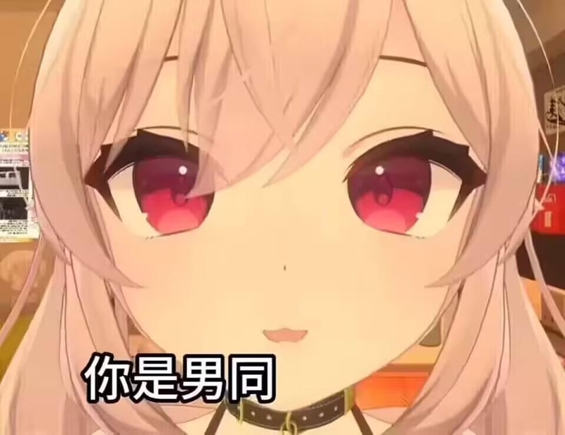 未知虚拟主播/二次元作品