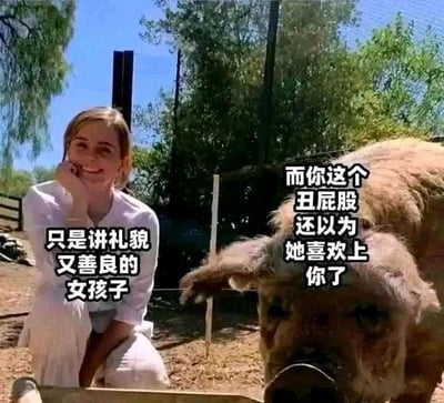 这是一张网友制作的合成搞笑梗图，画面左侧是英国演员艾玛·沃特森，她身处户外农场类场景中，手肘撑在弯曲的腿上，手托着脸颊，面带温和的微笑看向镜头；画面右侧是一头外观憨厚的猪，同样看向镜头。图中添加了两组对应文字：左侧配文“只是讲礼貌又善良的女孩子”，用来定义艾玛·沃特森所代表的角色；右侧配文“而你这个丑屁股还以为她喜欢上你了”，以吐槽的语气指向猪所代表的对象。这张图用幽默夸张的方式，调侃了生活中常见的“自作多情”场景——将他人的礼貌友善错误解读为爱慕之情，用猪的形象来指代产生这种误解的人，既带有扎心的自嘲感，又充满搞笑的吐槽意味。