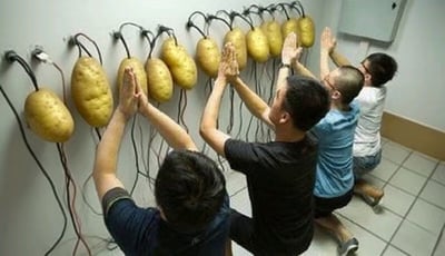 图片中四位成年人跪在瓷砖地面上，面向一面白墙，墙上整齐排列着11个连接着电线的黄色土豆。四人双手合十举过头顶，掌心朝向土豆，身体微微前倾，呈现出类似朝拜或敬畏的姿态。场景发生在一个室内空间，地面铺有白色瓷砖，墙角有一个灰色的控制箱。画面整体荒诞又搞笑，仿佛在演绎一场对“土豆神”的奇特仪式，充满无厘头的幽默感。