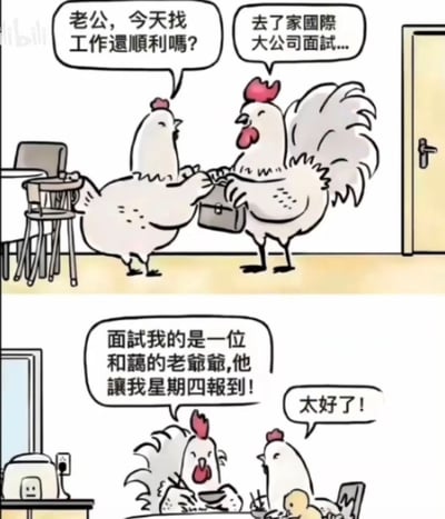 这是一幅两格连环卡通漫画，描绘了鸡夫妇的日常对话。上格中，鸡老婆关切地询问刚回家的鸡老公：“老公，今天找工作還順利嗎？”，鸡老公手持公文包笑着回答：“去了家國際大公司面試...”。下格场景转换到餐桌旁，鸡老公兴奋地宣布：“面試我的是一位和藹的老爺爺,他讓我星期四報到！”，鸡老婆开心地回应：“太好了！”。画面风格可爱，通过拟人化的小鸡形象展现了职场面试成功的温馨日常。