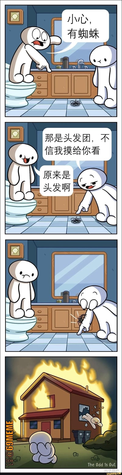 这是一组四格漫画，两个卡通人物在浴室里遇到疑似蜘蛛的黑团。一人警告有蜘蛛，另一人检查后说其实只是头发团。表面化解误会，但画面一转直接把房子烧了，表示对“看到头发团误以为蜘蛛”的心理阴影还是很大。

本图有明显搞笑效果，利用“过度反应”制造反差和幽默。

暗示：头发团尽管理论上不可怕，但心理上难以接受，导致极端行为。