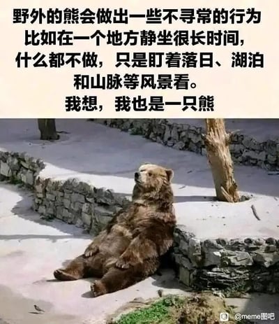 这是一张图文混排的静态图，上方是黑色的自嘲式文案，内容为“野外的熊会做出一些不寻常的行为，比如在一个地方静坐很长时间，什么都不做，只是盯着落日、湖泊和山脉等风景看。我想，我也是一只熊”；下方是一张真实的棕熊照片，棕熊背靠石墙，以放松的躺坐姿态仰头望向天空，神态悠闲慵懒，仿佛正在放空自己。这张图通过将人类日常中放空发呆、渴望悠闲的状态类比成野外熊的行为，用幽默的方式抒发了当代人在忙碌生活中，想要摆脱压力、享受悠闲放空时刻的心情，引发人们对放松状态的共鸣。