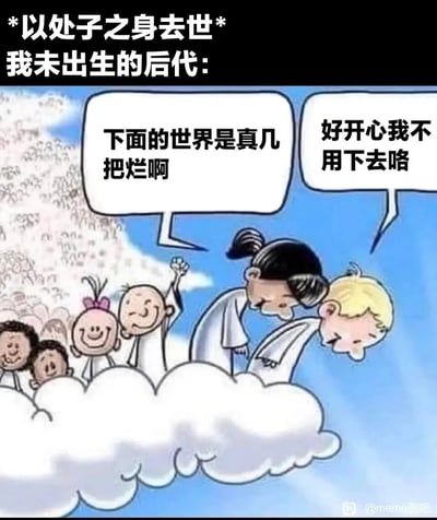 这是一张带有自嘲与调侃意味的网络梗图，顶部标注文字“*以处子之身去世* 我未出生的后代:”，画面呈现云端场景，一群卡通风格的小天使模样的孩子聚集在云朵上，其中一个孩子对着下方世界感慨“下面的世界是真几把烂啊”，另一个被天使抱着的金发孩子则开心地表示“好开心我不用下去咯”，其余孩子也都露出愉悦的笑容。这张图通过夸张的拟人化设定，将未出生的后代设定为云端的小天使，借他们的口吻调侃当下现实世界的糟糕，表达年轻人对现实生活的无奈，以及对生育的消极态度，以此实现情绪的共鸣与自嘲式的宣泄。