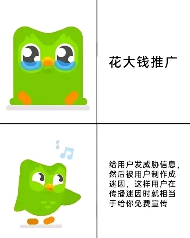 多邻国猫头鹰