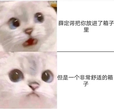 这是一张由两张网红猫咪图片拼接而成的连环表情包，采用上下分栏的布局。上方的猫咪睁着圆溜溜的大眼睛，嘴巴微张，呈现出惊讶略带不安的神情，搭配配文“薛定谔把你放进了箱子里”，借用了量子力学中“薛定谔的猫”这一著名思想实验的设定，先营造出一种让人联想到实验中未知不安感的氛围；下方的猫咪同样睁着圆眼睛，但神情变得放松安心，配文“但是一个非常舒适的箱子”，和前文形成强烈的反差，用这种轻松搞笑的反转，消解了原科学实验的严肃感，整体风格诙谐有趣，适合在社交互动中传递轻松的情绪，或是用来调侃朋友。
