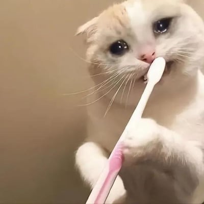 一只白色带有橘色斑块的猫咪正用爪子拿着一支粉白相间的牙刷刷牙。猫咪有着大大的、富有表现力的眼睛，正直视镜头。背景是一面朴素的中性色墙壁。这张图片捕捉了猫咪模仿人类刷牙的可爱瞬间，营造出幽默又温馨的氛围。
