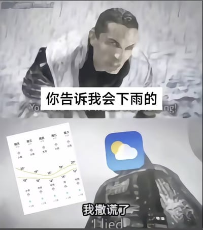 图片上半部分是一位表情愤怒的男性，配文“你告诉我会下雨的”；下半部分左侧是显示多日降雨预报的天气图表，右侧是带有太阳和云朵图标的天气APP图标，下方配文“我撒谎了”。整体通过人物质问与天气APP“承认撒谎”的对话形式，幽默调侃天气预报不准确的现象。