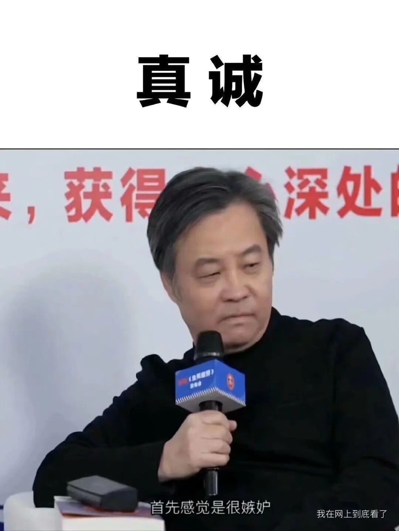 导演，代表作品《坚如磐石》《满江红》等