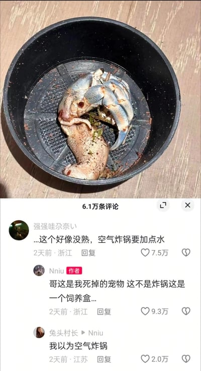 这是一张抖音平台的竖屏社交媒体截图，画面上方是一个黑色饲养盒，里面躺着一只已经离世的蓝爪宠物蟹，蟹身沾有一些污渍和残留的食物；画面下方是评论区互动内容：
1. 用户“强强哇尕奈い”误将饲养盒认成空气炸锅炸篮，评论道“...这个好像没熟，空气炸锅要加点水”，该评论获得7.5万点赞；
2. 作者“Nniu”回复解释“哥这是我死掉的宠物 这不是炸锅这是一个饲养盒...”，该回复获得9.3万点赞；
3. 用户“兔头村长”也留言表示“我以为空气炸锅”，获得2.0万点赞。
整个场景因饲养盒外观与空气炸锅炸篮相似，产生了有趣的误会，充满搞笑感。