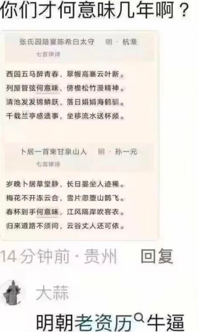 这是一张社交媒体回复截图，顶部配文“你们才何意味几年啊？”，下方展示两首明代七言律诗——杭淮《张氏园陪宴陈希白太守》与孙一元《卜居一首柬甘泉山人》，两首诗中均出现“何意味”诗句；底部是用户“大蒜”的评论“明朝老资历🐂逼”，借古人诗句玩“何意味”的网络梗，用“老资历”的反差感制造趣味，属于用古诗文玩热梗的搞笑内容。