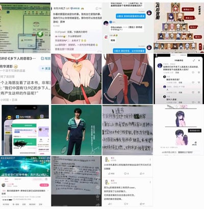 这是一张4×4的拼贴集合图，包含16张不同的网络内容，覆盖游戏圈争论、动漫整活、争议言论、趣味创作等多个领域：
1. 游戏社区：《原神》与《碧蓝航线》的喜好对立争论，原神相关的遗书整活梗；
2. 动漫创作：舰娘后宫关系图、水手服领带错位的视觉错觉图、“狸猫换太子”的原神角色梗图；
3. 争议言论：关于《乡下人的悲歌》的争议评价、混淆解放军与侵略者的错误言论；
4. 趣味内容：Safari浏览器的职业测试截图、羽毛球运动员李现的宣传图、游戏流水吐槽、地铁cos的吐槽内容。
其中包含视觉错位梗、ACG整活梗、历史认知争议等多种内容，风格混杂，戏谑与严肃内容并存。