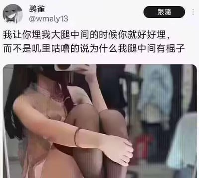 这是一张图文混排的社交媒体截图，上方是用户“鹉雀”（@wmaly13）发布的文字内容：“我让你埋我大腿中间的时候你就好好埋，而不是叽里咕噜的说为什么我腿中间有棍子”，下方搭配一张脸部被遮挡、穿着丝袜抱腿坐着的人物图片。该内容通过文字暗示图中看似女性的实际是男性，腿中间的“棍子”指向男性生理特征，利用性别反差制造出带有暗示的搞笑效果，属于荤段子类的搞笑梗图。