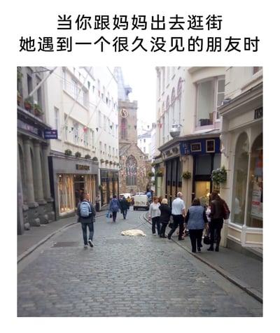 这是一张用来调侃日常经历的梗图，图片上方配有文字“当你跟妈妈出去逛街她遇到一个很久没见的朋友时”，主体是一条充满欧洲小镇风格的石板街道，街道两侧是商铺，远处可见教堂类地标建筑。画面中，一群行人聚集在街边停下脚步，对应着遇到朋友聊天的妈妈们，而被绳子牵引着、毫无力气地趴在地上的狗，则被用来比喻此时被留下、只能无奈等待的孩子，非常形象地表现出孩子在这种场景下的无聊与无奈，引发有相同经历的人的共鸣。