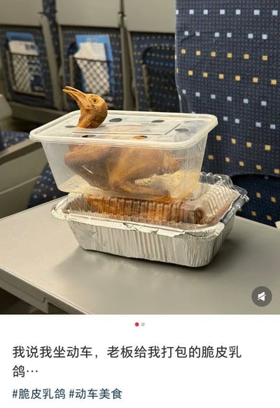 这张图文内容拍摄于动车车厢内，画面主体是动车座位前的灰色小桌板，上面叠放着两份打包食物：上层是带孔透明塑料餐盒，里面装着整只脆皮乳鸽，乳鸽的头部刚好从餐盒盖子的孔洞中伸出来，视觉上仿佛是活鸽子待在餐盒里，效果十分滑稽；下层是铝箔餐盒装着的其他食物。图片下方配有文字说明和相关话题标签，整体是用户分享的搞笑生活日常内容。