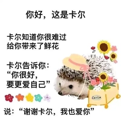 这是一张图文混排的静态暖心图，画面主体是一只戴着浅粉色系带浅黄色小帽子的刺猬卡尔，它推着一辆印有“CarLo”字样的小推车，推车里装满了向日葵、粉色小花等鲜花。图中配有多段文字，依次向观看者介绍卡尔，说明卡尔知道对方很难过所以带来鲜花，接着以卡尔的口吻说出暖心安慰：“你很好，要更爱自己”，最后引导观看者回应“谢谢卡尔，我也爱你”。整体画面温馨柔和，文字充满治愈感，旨在安抚情绪低落的人，传递温暖与自我关怀的理念，没有双关、谐音梗等特殊内容。