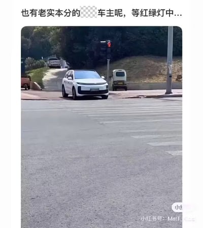 这张梗图展现了一辆车停在斑马线上等红绿灯的情景，车主非常守规矩，即使没有人或其他车辆，仍然老老实实地等待红灯变绿。这种行为反映了车主的本分和守法，和网络上常见的“闯黄灯”、“抢道”等不文明行为形成了鲜明对比。图片配文也表达了对这种老实车主的认可和赞赏。

此图有一点讽刺意味，意指在如今社会守规矩的人变得稀有，是一种“反常”的夸赞。图中文字把“本分的**”加了马赛克，带有调侃和暗示色彩。