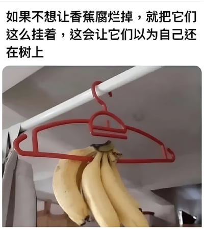 图片上方配有文字“如果不想让香蕉腐烂掉，就把它们这么挂着，这会让它们以为自己还在树上”，下方是一张实物图：一串黄色香蕉被悬挂在一个红色塑料衣架上，衣架则挂在一根白色的杆子上。整体呈现一种生活小技巧的分享，通过拟人化的幽默方式（让香蕉“以为自己还在树上”）来建议悬挂保存香蕉以延缓腐烂。
