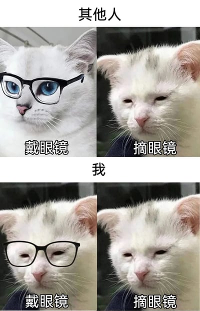 这是一张上下结构的对比类静态梗图，分为“其他人”和“我”两个板块。上半部分“其他人”板块中，戴眼镜的是一只拥有蓝色大眼睛的精致白猫，表情严肃，看起来帅气有型；摘眼镜后是一只眼睛眯起的白猫，虽颜值有所下降但状态仍属正常。下半部分“我”板块中，无论是戴眼镜还是摘眼镜，都是那只眼睛眯起的白猫，以此幽默地调侃高度近视人群，无论是否佩戴眼镜，都因为视力过差而看起来状态没有区别，精准戳中近视人群的日常痛点，用可爱的猫咪形象来表现，既生动又充满自嘲的趣味，容易引发近视人群的共鸣。