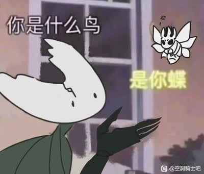 这是一张经过P图改编的搞笑表情包，画面左侧是游戏《空洞骑士》中的角色大黄蜂，她抬起一只手，表情略带疑惑与挑衅，上方配文“你是什么鸟”；画面右侧是《空洞骑士》中的叛徒领主（飞蛾类角色），它悬浮在画面右侧，表情看起来有些得意，旁边配文“是你蝶”。图中运用了谐音梗，“是你蝶”谐音“是你爹”，是带有调侃、怼人意味的搞笑内容，图片右下角带有百度贴吧“空洞骑士吧”的水印，整体是游戏玩家对游戏角色进行的二次创作，用来制造趣味怼人的搞笑效果。