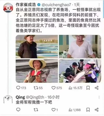 这是一张来自X平台（原推特）的社交媒体截图梗图，用户“作家崔成浩”发布推文编造了荒诞内容：金正恩视察养鱼场后，他摸过的鱼池里的鱼在投喂等量饲料的情况下，体型比其他鱼池的鱼大5倍，这一“怪事”困扰着鱼类学家；推文还搭配了四张图，分别是金正恩在养鱼场的视察照、面露惊讶的男子、抱着大鱼的女子、众人合力抬大鱼的场景。下方还有用户Qing的评论“金将军帮我撸一下吧”，用夸张离谱的编造内容制造搞笑调侃的效果。