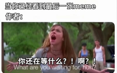 图片上方文字为'当你已经看到最后一张meme 作者:'，下方是一段视频截图。截图中一位长发女性表情激动，张大嘴巴，双臂张开，似乎在大声质问，画面叠加文字'你还在等什么？！啊？！'及英文翻译'What are you waiting for, huh?'。背景有两位模糊人物站立，整体营造出一种看到最后一张meme时的夸张反应场景。