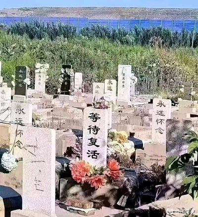 一片杂草丛生的墓地场景，众多墓碑错落分布，其中最显眼的一块墓碑上刻着“等待复活”四个大字。背景可见茂密的绿色植被和远处的水域，整体画面带有一种荒诞又略带黑色幽默的氛围。