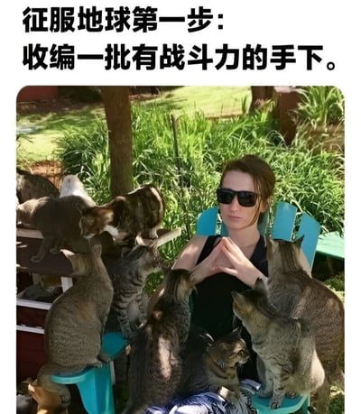 图片上方配有文字“征服地球第一步：收编一批有战斗力的手下。”，下方是一张实拍照片：一位戴着墨镜的人坐在蓝色椅子上，双手合十置于胸前，表情严肃，周围环绕着6-8只猫咪，它们或蹲坐在椅子扶手上，或依偎在人身旁，背景是绿意盎然的花园。整体通过宏大目标与可爱猫咪的反差，营造出幽默搞笑的效果。