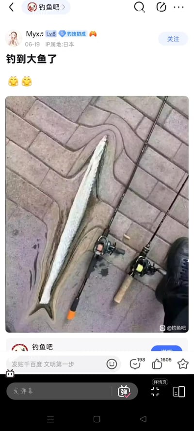 社交媒体平台“钓鱼吧”用户“Myx.x”发布的帖子，标题为“钓到大鱼了”并配两个害羞表情。图片中一条细长的鱼躺在砖铺地面上，旁边放着两根钓鱼竿，右下角可见一只穿着黑色鞋子的脚。帖子发布于06-19，IP属地日本，获得198条评论和1605个点赞。
图片中的“大鱼”实际体型细长，可能存在对“大”的幽默化解读（指长度而非体积）。