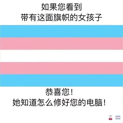 这张梗图的背景是跨性别（Transgender）旗帜，上方配有文字“如果您看到带有这面旗帜的女孩子”，下方接着写“恭喜您！她知道怎么修好您的电脑！”。整体意思是用调侃的方式表达带有跨性别旗帜的女生通常精通电脑技术，具有IT工程师或技术宅形象。这张图带有一种轻松幽默的网络文化气息，属于一种刻板印象的玩梗。

- 暗示与双关：用“知道怎么修好电脑”双关调侃跨性别女生擅长计算机，同时有性别与技术相关的刻板映射。