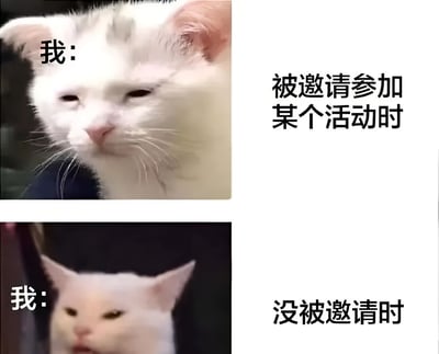 该图为上下两格拼接的静态 meme，上方格子中一只白猫表情平静，左上角配文“我：”，右侧文字“被邀请参加某个活动时”；下方格子中同一只白猫表情略显严肃或不爽，左下角配文“我：”，右侧文字“没被邀请时”。通过猫咪两种不同表情的对比，幽默地展现了人们在被邀请参加活动和未被邀请时的心理反差，内容贴近生活，充满趣味性。
