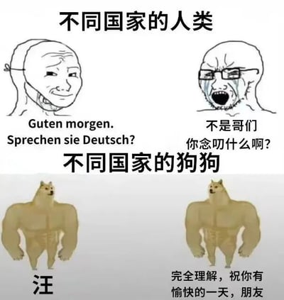 图片分为上下两部分进行幽默对比。上半部分标题为“不同国家的人类”，左侧人物用德语说“Guten morgen. Sprechen sie Deutsch?”（早上好，你会说德语吗？），右侧人物一脸困惑地反问“不是哥们你念叨什么啊？”，体现人类因语言不通产生的交流障碍。下半部分标题为“不同国家的狗狗”，左侧狗狗发出“汪”的叫声，右侧狗狗却能完全理解并回应“完全理解，祝你有愉快的一天，朋友”，通过动物间“无障碍交流”与人类形成反差萌，制造搞笑效果。