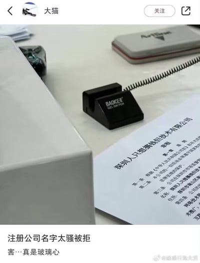 这是一张来自微博的社交媒体截图，画面展示了办公桌上的一份拟注册的公司章程，其中公司名称为极具玩梗性质的「深圳人只想搞钱但技术有限公司」，配文吐槽「注册公司名字太骚被拒 害…真是玻璃心」。结合了「深圳搞钱」的网络流行文化，用夸张戏谑的公司名称调侃工商注册的名称审核规则，画面中还可见宝克（BAOKE）台笔等办公物品，整体风格搞笑又带着无奈的吐槽感。