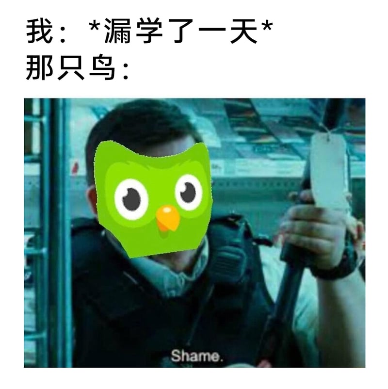 Duolingo语言学习平台