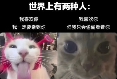 这是一张通过猫咪形象幽默对比两种情感表达方式的梗图。图片上方文字为“世界上有两种人：”，下方分为左右两栏。左栏文字“我喜欢你 我一定要亲到你”搭配一只戴着粉色发饰、吐着舌头的白猫，表情兴奋直接；右栏文字“我喜欢你 但我只会偷偷看着你”搭配一张猫脸特写，猫咪眼神专注凝视，显得腼腆羞涩。通过两只猫咪截然不同的神态，生动展现了主动出击与默默暗恋两种性格差异。