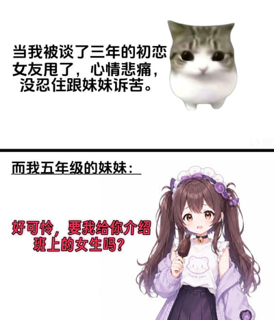 该图为上下结构的搞笑梗图，上半部分配有文字描述主人公被相恋三年的初恋女友分手，心情悲痛找妹妹诉苦，右侧搭配表情惆怅的网红cheems胖猫表情包，传递出低落的情绪；下半部分先标注说明出场人物是五年级的妹妹，右侧是扎着双马尾的二次元少女形象，配文为妹妹天真的回应“好可怜，要我给你介绍班上的女生吗？”，通过小学生妹妹不符合成年人预期的安慰方式制造出强烈的反差笑点，整体风格轻松搞笑。