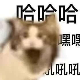 这是一张经过P图改编的单张表情素材图，以一只嘴巴大张、神态激动夸张的猫咪为视觉主体，在图中不同位置添加了“哈哈哈”“嘿嘿”“吼吼吼”的文字，将猫咪的夸张神态与代表大笑、吼叫的文字相结合，模拟猫咪发出的欢乐亢奋的声音，整体风格魔性搞笑，能够生动地传递出开心、兴奋、起哄等强烈的情绪，适合在社交聊天场景中使用。