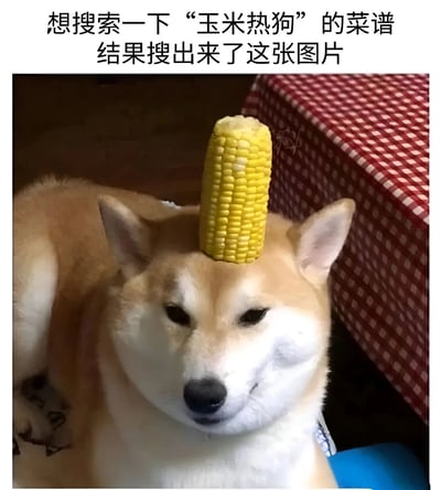 这张梗图展示了一只柴犬，它的头上顶着一根玉米棒。图片上方配有文字：‘想搜索一下“玉米热狗”的菜谱，结果搜出来了这张图片’。笑点在于‘玉米热狗’通常指裹玉米面糊的热狗，而搜索结果却出现头上有玉米的狗，形成文字游戏与视觉反差，意外又搞笑。