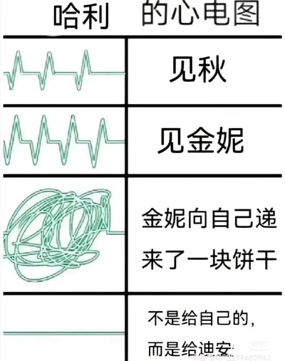 这是一张以《哈利·波特》人物关系为基础创作的趣味meme图，通过心电图的变化夸张表现哈利·波特的情绪波动：第一部分是哈利见到秋时，心电图呈现平稳的规律波动，体现情绪相对平静；第二部分见到金妮时，心电图波动变得更密集，表现出紧张与激动；第三部分金妮向他递饼干时，心电图彻底紊乱成一团，展现出极度慌乱、心跳加速的状态；第四部分得知饼干是递给迪安的，心电图变成直线，表现出瞬间的失落与心碎，用夸张的视觉效果玩哈利的暗恋相关梗。