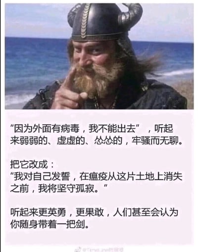 这是一张图文结合的趣味创作图，上方是一位头戴牛角盔、留着浓密大胡子的维京风格装扮男子，他将食指放在嘴边，神情坚毅，背景是开阔的海边。下方文字先吐槽“因为外面有病毒，我不能出去”这句话听起来软弱无力、满是牢骚，随后将其改编为充满史诗感的誓言：“我对自己发誓，在瘟疫从这片土地上消失之前，我将坚守孤寂。”并调侃这样的表述会显得英勇果敢，仿佛说话人随身佩剑，用幽默的创意将居家防疫的无奈抱怨转化为富有仪式感的自我承诺，为日常防疫增添了趣味和气势。