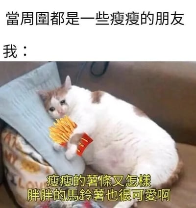 这是一张用于自我调侃的搞笑梗图，属于P图改编的图文混排作品。图中上方配文“当周围都是一些瘦瘦的朋友”，接着以“我：”引出下方的内容：一只趴在沙发靠垫上的胖橘白猫，它的前爪被P上了一包薯条，下方配文“瘦瘦的薯条又怎样 胖胖的马铃薯也很可爱啊”。图中运用了巧妙的类比，用瘦瘦的薯条类比身边的瘦朋友，用胖胖的马铃薯（薯条的原料）类比胖胖的自己，通过这种方式幽默地消解身材焦虑，表达了在身边都是瘦人的环境中接纳自己身材的心态，风格轻松治愈，容易引发有类似经历的网友共鸣。