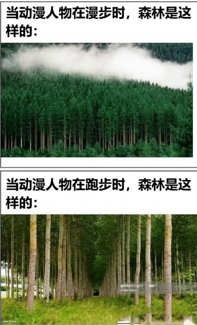 这是一张上下对比图，通过两张森林照片配合文字，幽默调侃动漫中场景表现的差异。上图文字为“当动漫人物在漫步时，森林是这样的：”，配图是云雾缭绕的茂密森林，树木高大密集，整体氛围宁静悠远；下图文字为“当动漫人物在跑步时，森林是这样的：”，配图是两侧树木整齐排列形成的隧道式路径，视角聚焦前方，营造出速度感和动态效果。